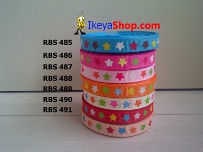 Pita RBS 485 491  large2